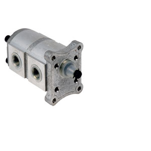 4,8+4,8cc Tandem Pompa Pompe Double